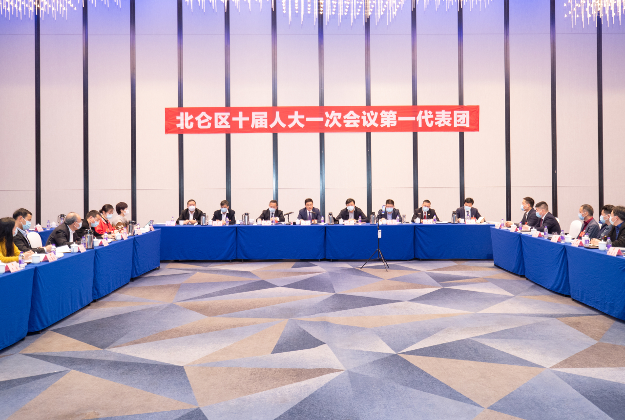 潘银浩参加区十届人大第一代表团审议